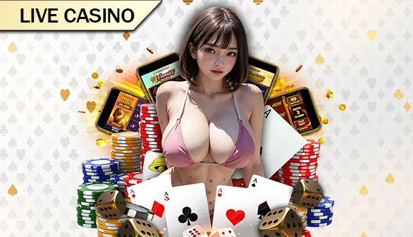 Casino CIMOL4D